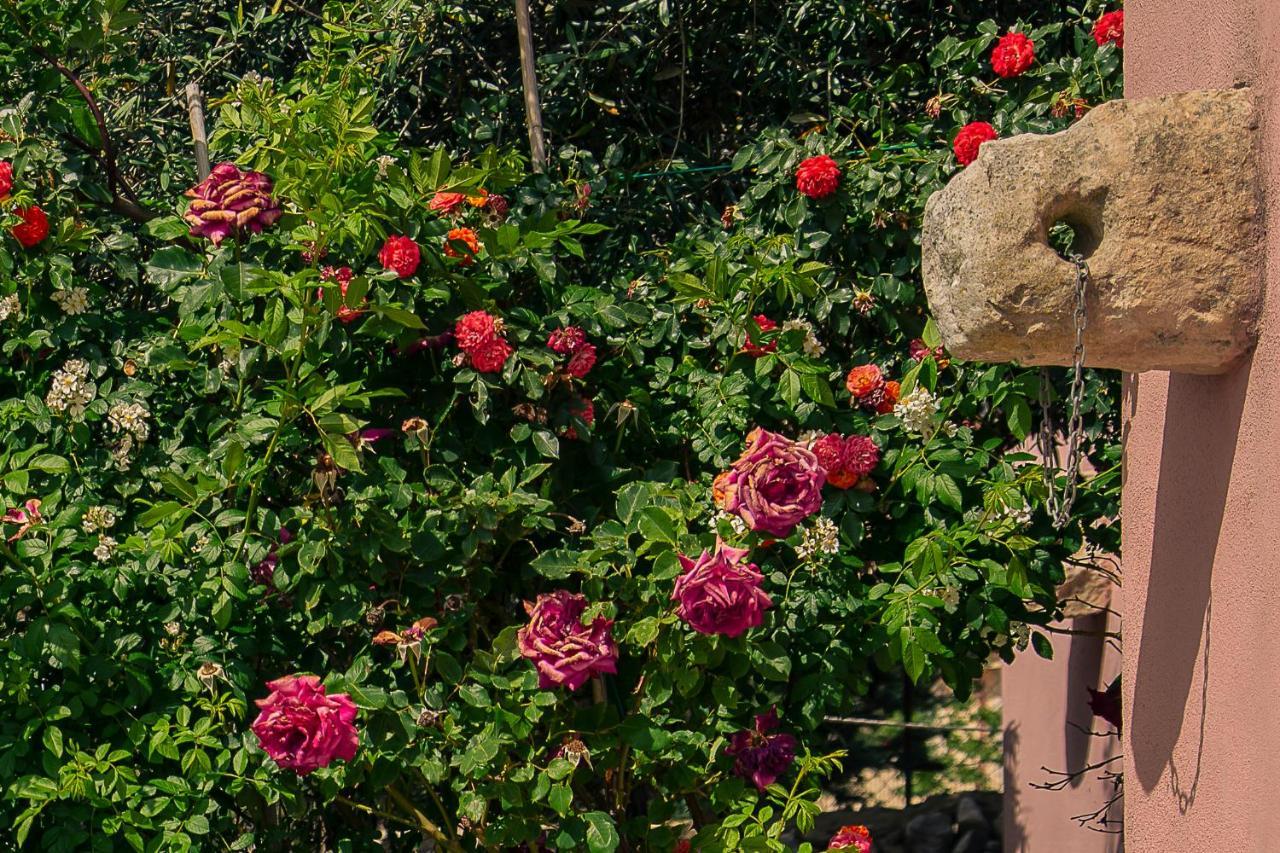 Dependance In Villa Con Piscina Ραγκούσα Εξωτερικό φωτογραφία